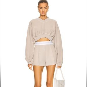 NWT Alexander Wang Elasticized Waist Taupe Feather Pleated Wool Shorts Size 6